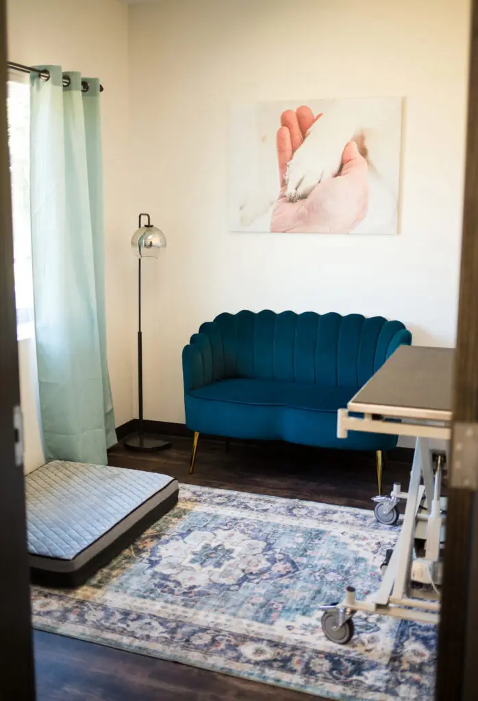 Pawspital Euthanasia Room